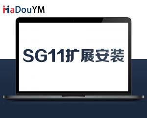 SG11扩展安装